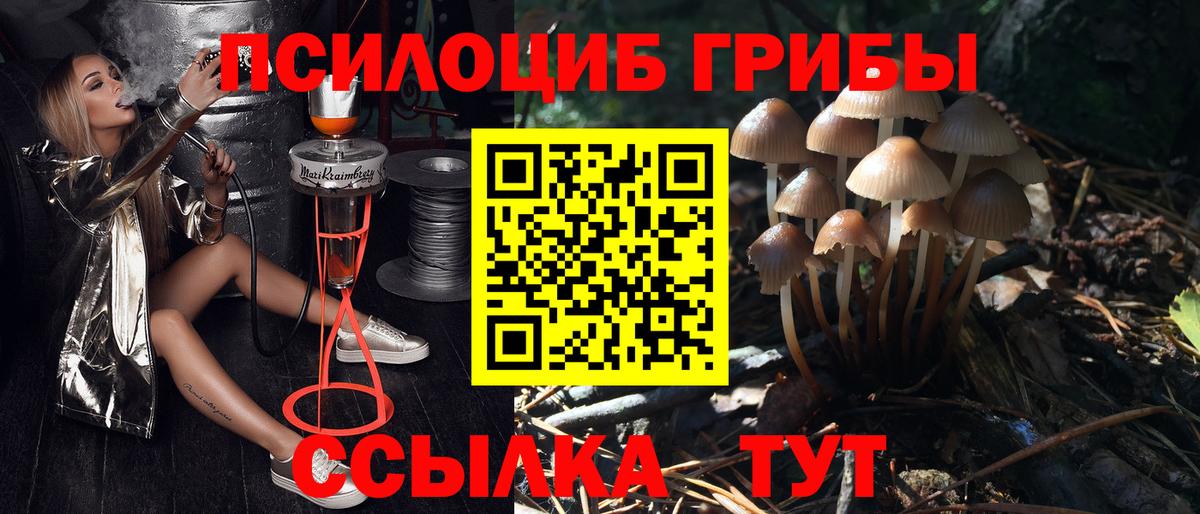 Псилоцибиновые грибы Psilocybine cubensis  купить наркоту  Грязи  Вход с VPN 