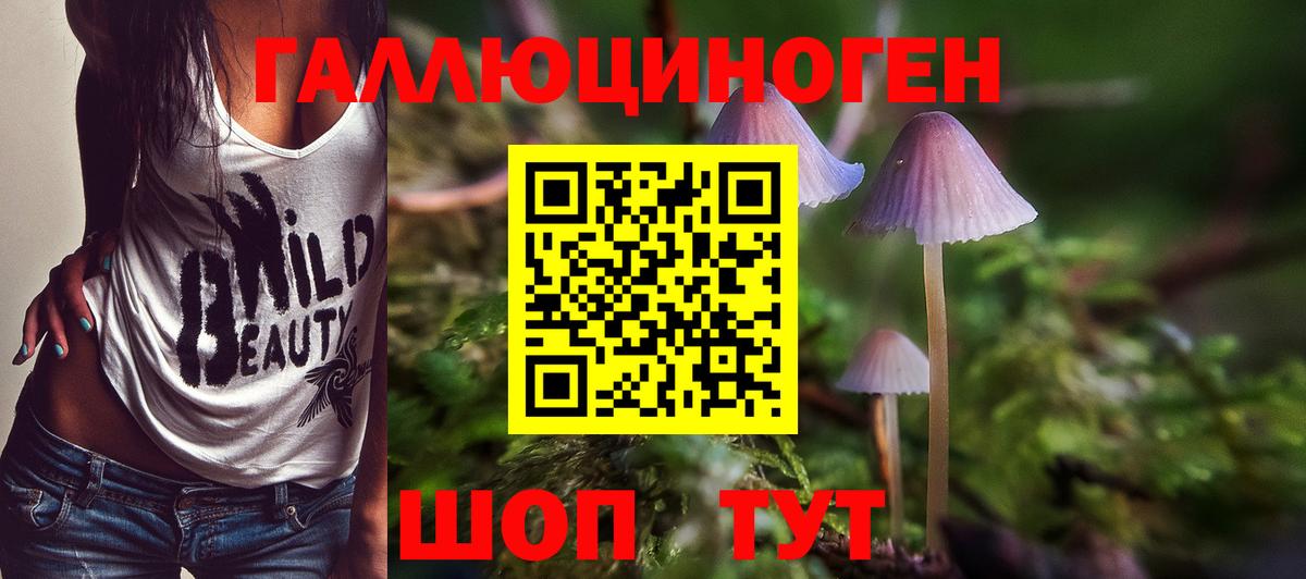Галлюциногенные грибы MAGIC MUSHROOMS Грязи